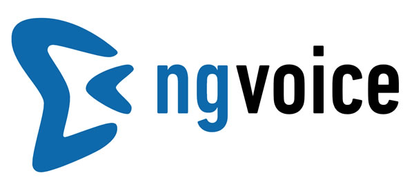 ng-voice